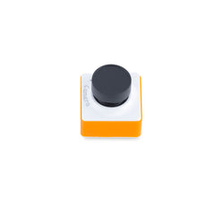Camera Block Neuron