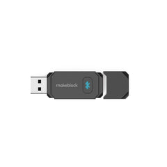 Bluetooth Dongle EN