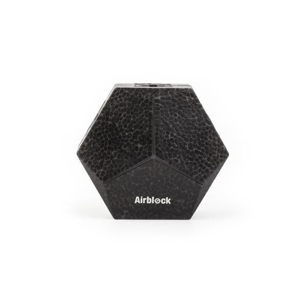 Airblock Main Control Module