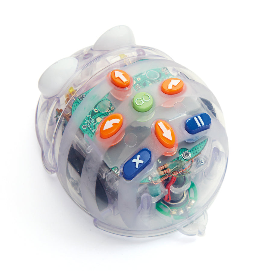 Blue-Bot Programmable Floor Robot