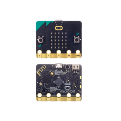 micro:bit V2 Go