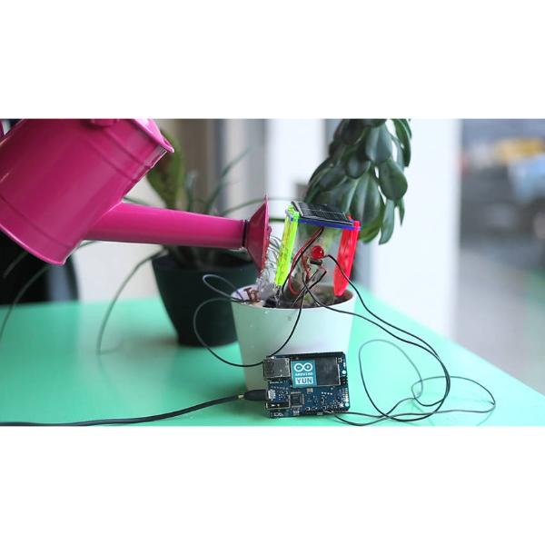 Diy Thirsty Plant Kit