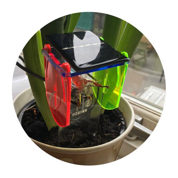 Diy Thirsty Plant Kit