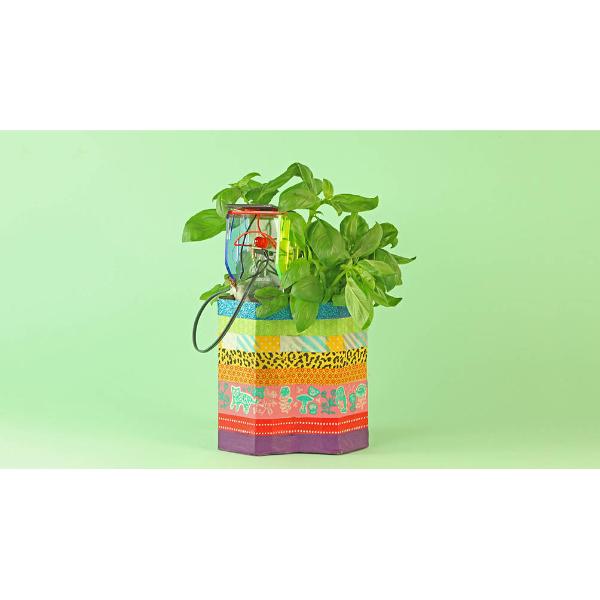 Diy Thirsty Plant Kit